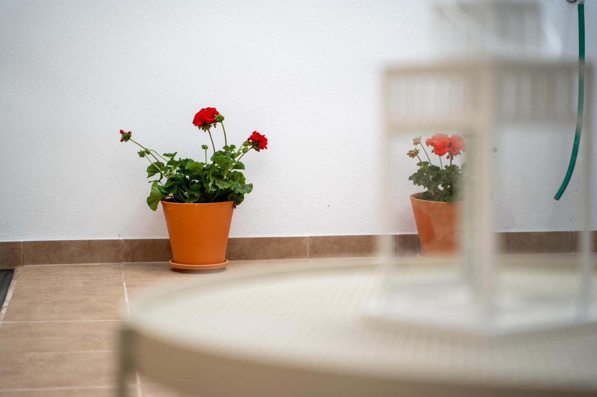 El Secreto De Chirinos Apartman Úbeda Kültér fotó